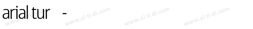 arial tur 粗体字体转换